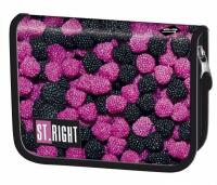 Opakowanie Piórnik dwuklapkowy bez wyposażenia Owoce Leśne