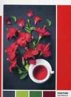 Opakowanie Puzzle 1000 Pantone Red Hibiscus Aroma