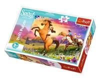 Opakowanie Puzzle 30 Duch wolności TREFL