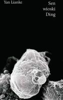 SEN WIOSKI DING. Autor: YAN LIANKE. SmakLiter.pl Okładka książki SEN WIOSKI DING