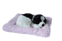 Opakowanie Śpiący piesek na poduszce - biało czarny