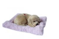 Opakowanie Śpiący piesek na poduszce - Golden