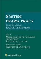 Okładka książki System Prawa Pracy T.9