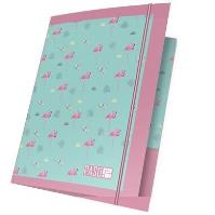 Opakowanie Teczka z gumką A4 PPLF19-109 PASO