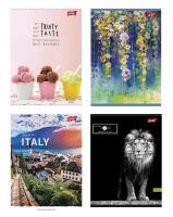 Zeszyt A4 96k linia jednoskładkowy (laminowany, mix). Wydawca: ST.MAJEWSKI. SmakLiter.pl Opakowanie Zeszyt A4 96k linia jednoskładkowy (laminowany, mix)