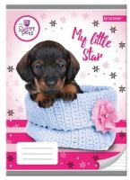 Zeszyt A5 w trzy linie kolorowe 16 kartek Pies Sweet Pets 10 sztuk. Wydawca: Beniamin. SmakLiter.pl Opakowanie Zeszyt A5 w trzy linie kolorowe 16 kartek Pies Sweet Pets 10 sztuk