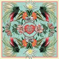 Opakowanie Karnet kwadrat z kopertą Birds of the Amazon