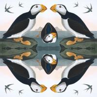 Opakowanie Karnet kwadrat z kopertą Horned Puffin