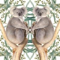 Opakowanie Karnet kwadrat z kopertą Koala