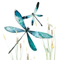 Opakowanie Karnet Swarovski kwadrat CL1232 Ważki