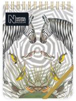 Opakowanie Kołonotes ozdobny Zebra