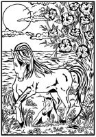 Opakowanie Kolorowanka Welwetowa 29,7x21 Konie