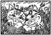 Opakowanie Kolorowanka Welwetowa 29,7x21 Koty