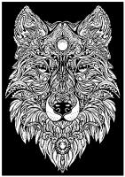 Opakowanie Kolorowanka Welwetowa 29,7x21 Lupus