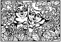 Opakowanie Kolorowanka Welwetowa 29,7x21 Pieski