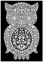 Opakowanie Kolorowanka Welwetowa 29,7x21 Sowa