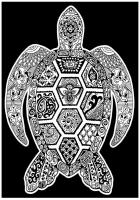 Opakowanie Kolorowanka Welwetowa 29,7x21 Żółw morski