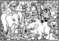 Opakowanie Kolorowanka Welwetowa 29,7x21 ZOO