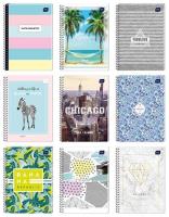 Opakowanie Kołozeszyt A5/100K linie (5szt)