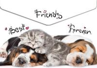 Opakowanie Koperta A5 na napę z nadrukiem Animals