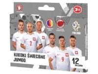 Opakowanie Kredki świecowe PZPN 2 12 kolorów ASTRA