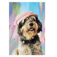 Notes Rachael Hale RLF-3680 PASO. Wydawca: Paso. SmakLiter.pl Opakowanie Notes Rachael Hale RLF-3680 PASO