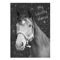 Opakowanie Pamiętnik Horse PP19KO-3660 PASO