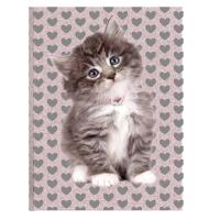 Opakowanie Pamiętnik Rachael Hale RLD-3660 PASO