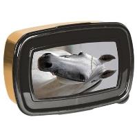 Opakowanie Śniadaniówka Horse PP19H-3022 PASO