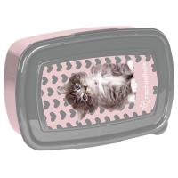 Opakowanie Śniadaniówka Rachael Hale RLD-3022 PASO