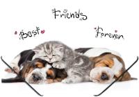 Opakowanie Teczka na gumkę A4 z nadrukiem Animals