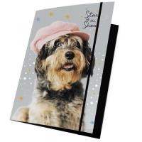 Opakowanie Teczka z gumką A4 Rachael Hale 15 sztuk