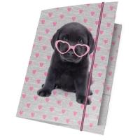 Opakowanie Teczka z gumką A4 Studio Pets 15 sztuk