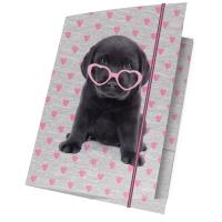 Opakowanie Teczka z gumką A4 Studio Pets PTB-109 PASO