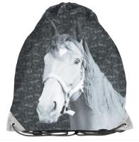 Opakowanie Worek na buty Paso Horse czarno-szary
