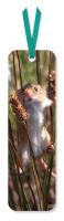 Opakowanie Zakładka do książki Harvest Mouse (opakowanie 2 sztuki)