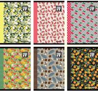 Opakowanie Zeszyt A5 w linie 54 kartki  Street Fruits A5 10 sztuk mix