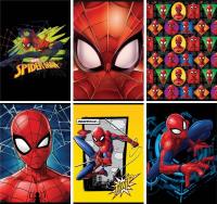 Opakowanie Zeszyt A5/54K Spider Man (10szt) STREET
