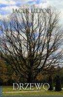 Drzewo. Autor: Jacek Lilpop. SmakLiter.pl Okładka książki Drzewo
