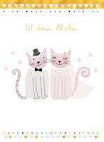 Opakowanie Karnet B6 Ślub - Koty