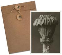 Opakowanie Karnet BF5-101 Mak wschodni