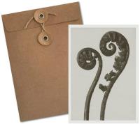 Opakowanie Karnet BF5-105 Nerecznica samcza