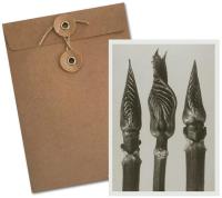 Opakowanie Karnet BF5-106 Hortensja krzewiasta