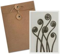 Opakowanie Karnet BF5-108 Niekropień stopowaty