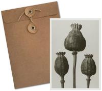 Opakowanie Karnet BF5-109 Mak wschodni