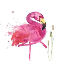 Opakowanie Karnet Swarovski kwadrat Flaming