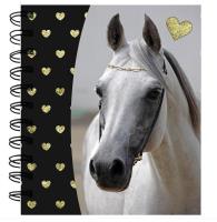 Opakowanie Notes spiralny Horse PP19H-3631 PASO