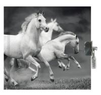 Opakowanie Pamiętnik z kłódką Horse PP19HS-3640 PASO
