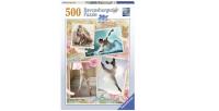 Opakowanie Puzzle 500 Baletnica