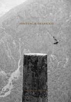 Sentencje delfickie. Książka do pisania. Autor: Krzysztof Bielawski. SmakLiter.pl Okładka książki Sentencje delfickie. Książka do pisania